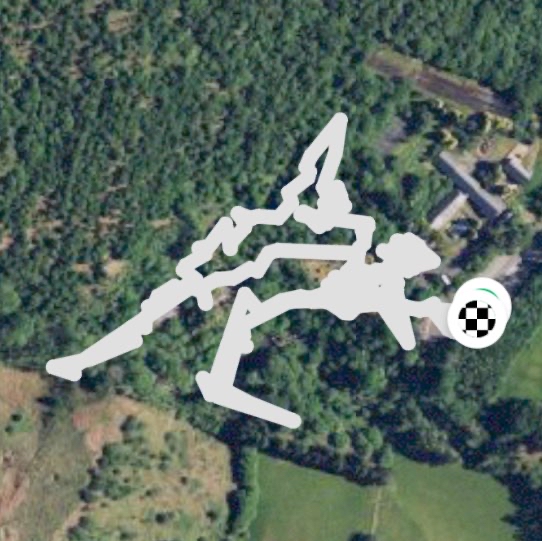 Dan yr Ogof caves and Dinosaur park.