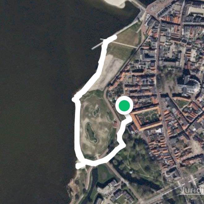 Harderwijk met Balou en Bowie en michelle