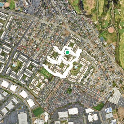 dogs dogs 🐕 ❤️