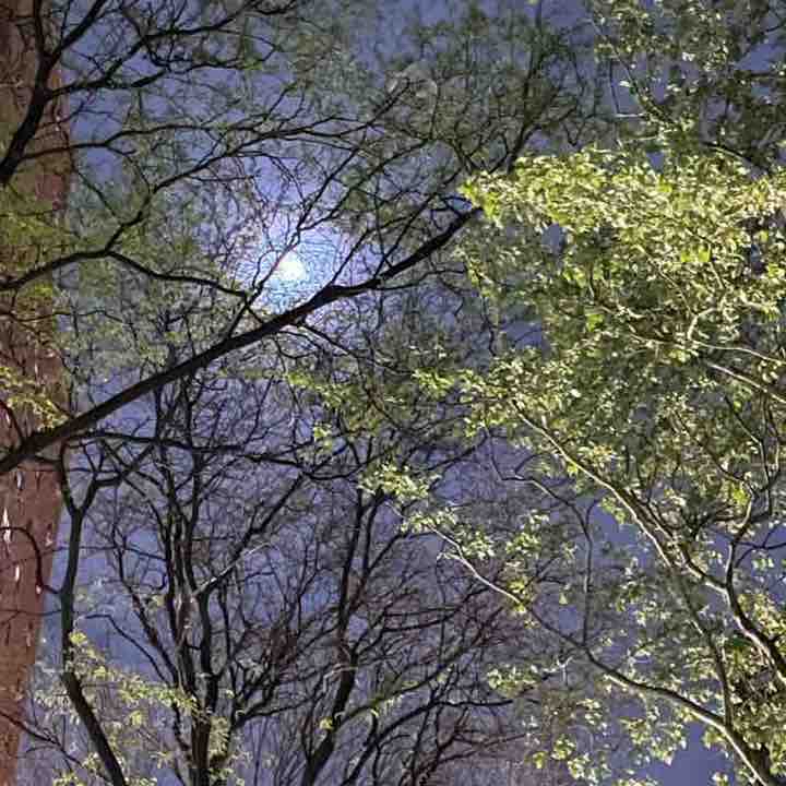 A walk from work to home !!