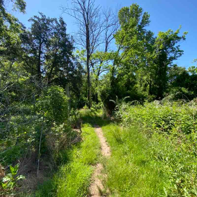 Stuart Coventry View Trail