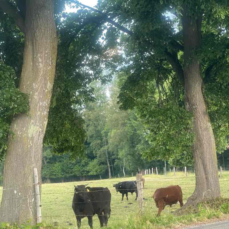 German Bavaria Countryside morning route