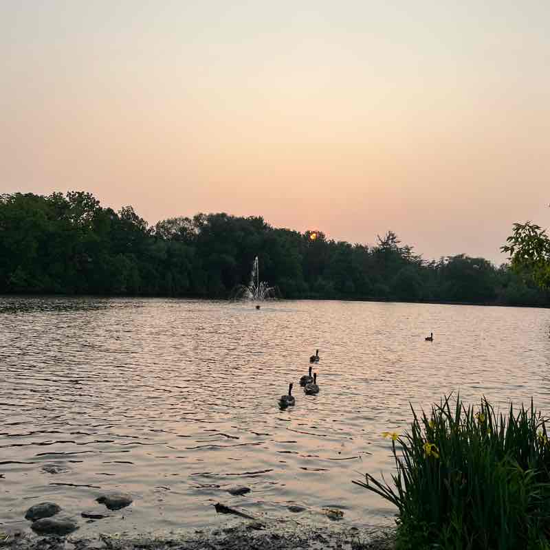 Mill Pond Trail from hm