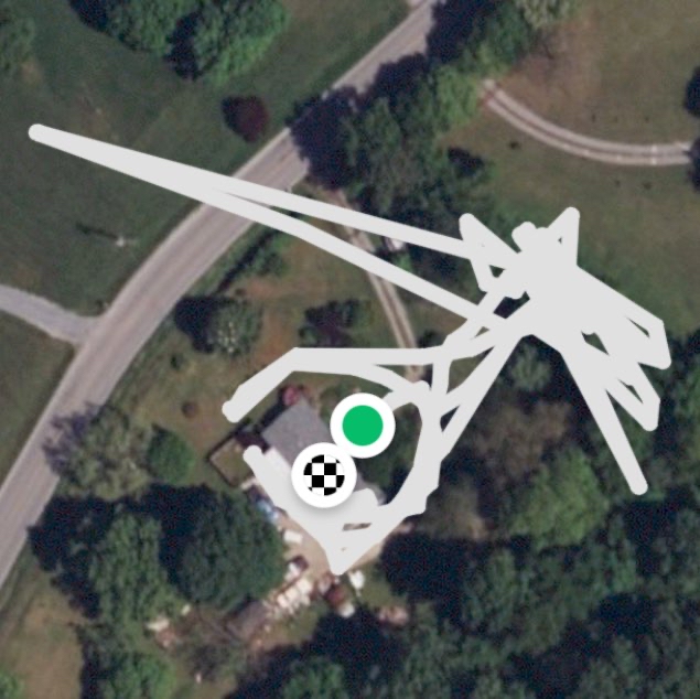 Working on furbabies graves/ planted flowers