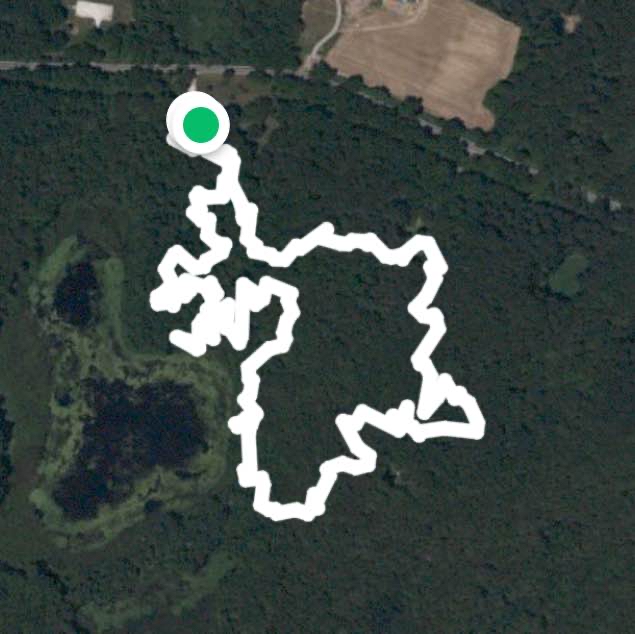 Park Lyndon South Loop