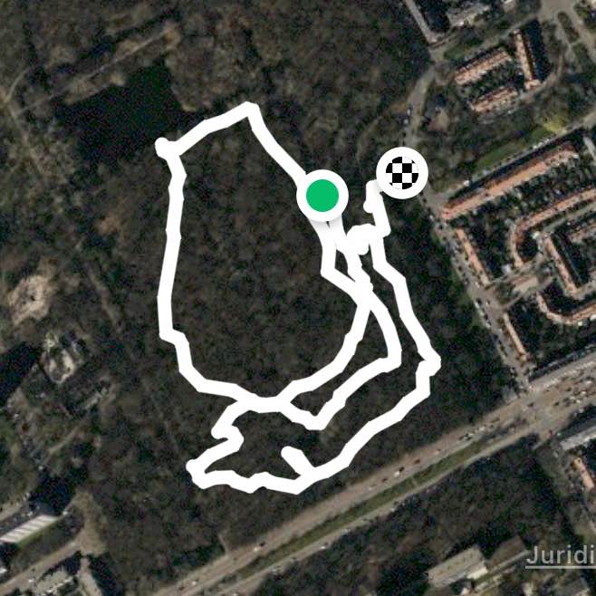 Meer en bos met Balou en Bowie