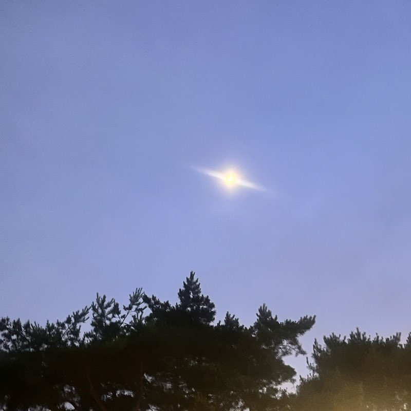 저녁걷기