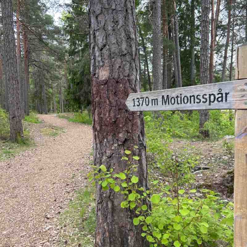 Forest route