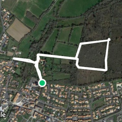 Le bois du fenestreau