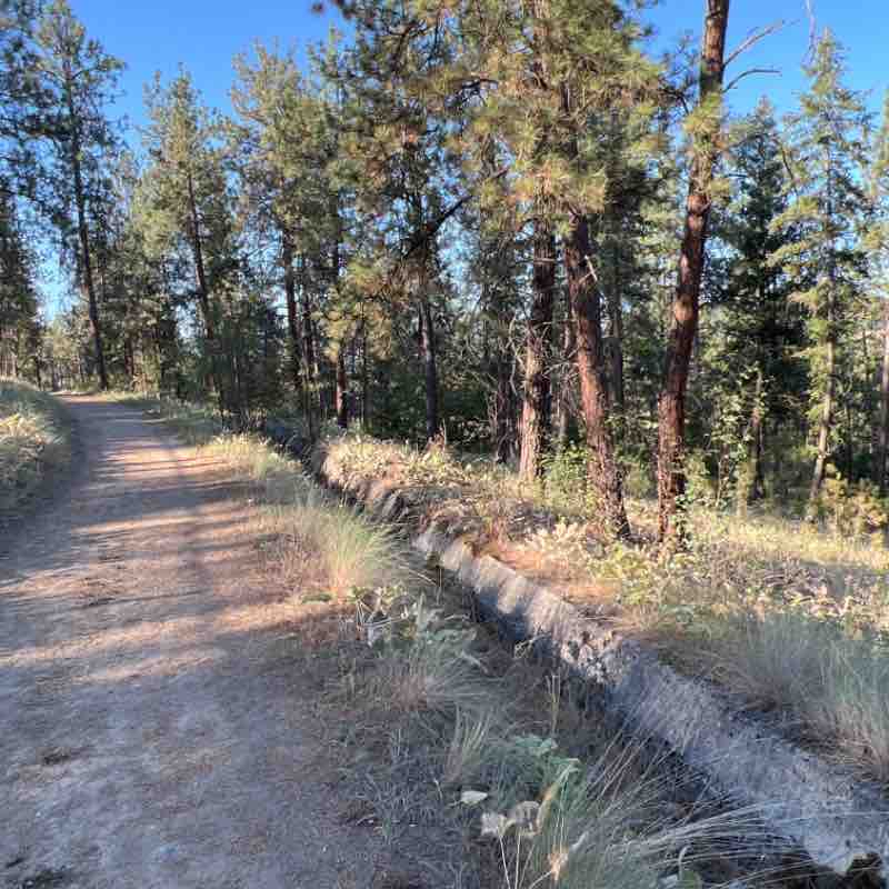 Quail ridge trail