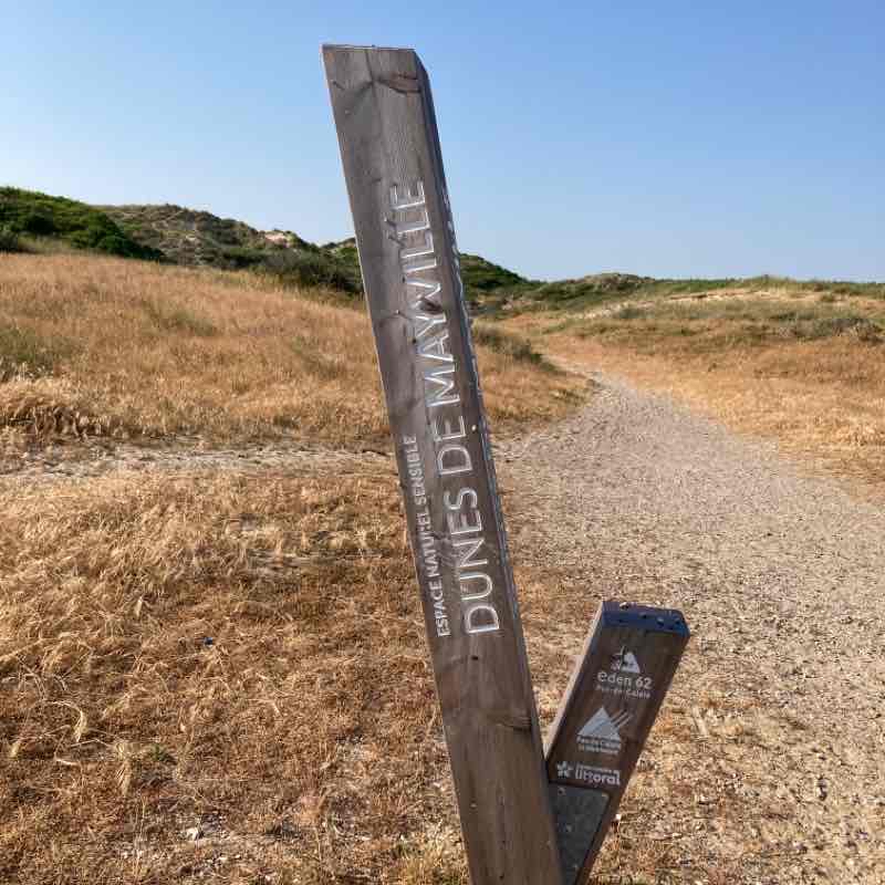 Balade dans les dunes de Mayville