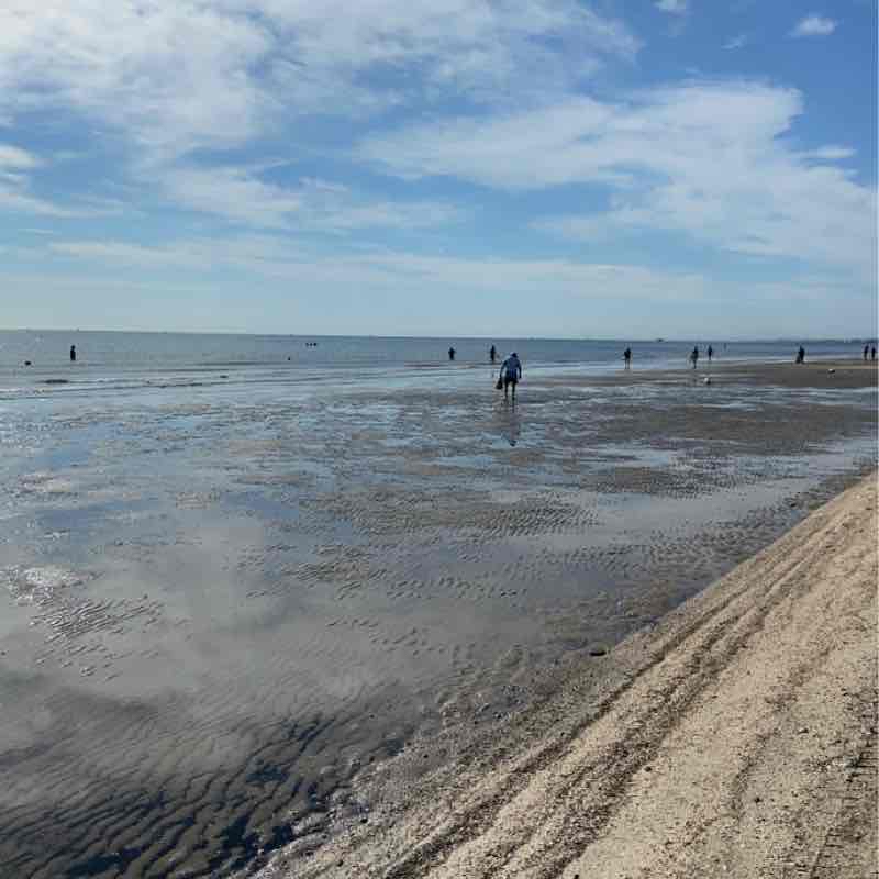 Pinarella Pinienwald- und Strandlauf