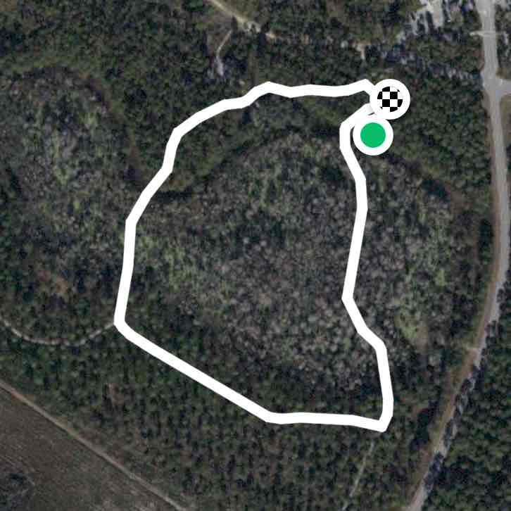 Left knee problems 2nd walk