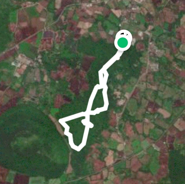 제주도 비자림숲길