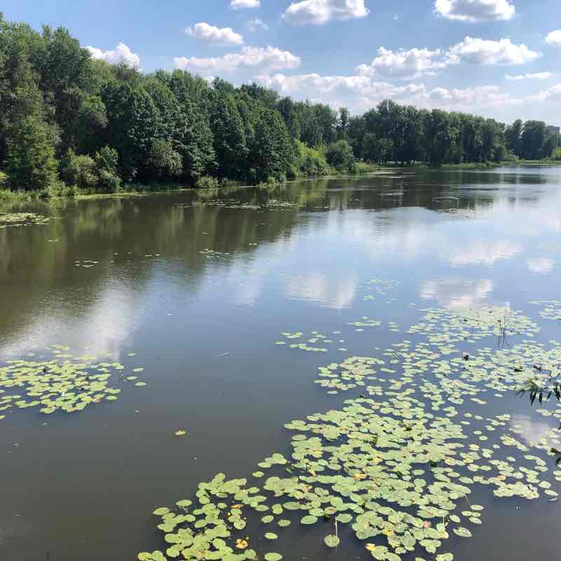 Солнечная-Заречная