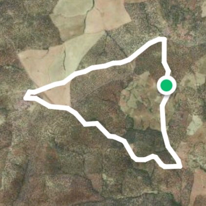 El Alcornocal/Ojuelos altos por el Pasip