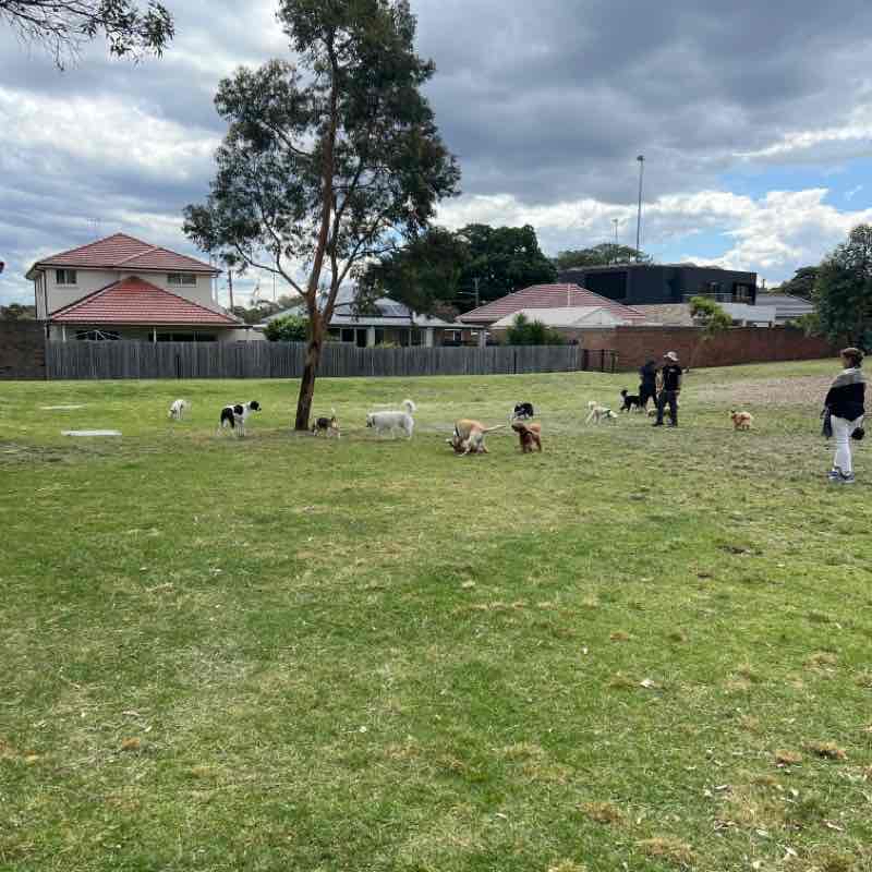 SOUTHERN CROSS RESERVE