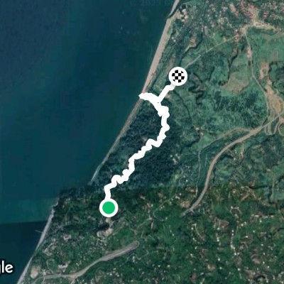 batumi botanical garden