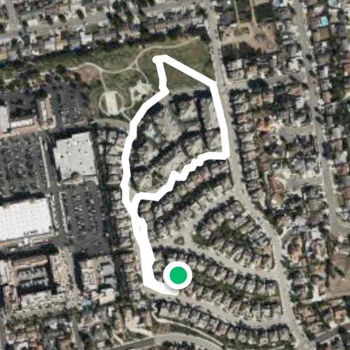 Neighborhood Walk with the Dogs