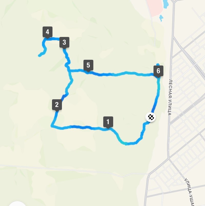 Большая медведица