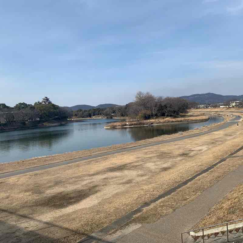 Đường hoa Anh Đào