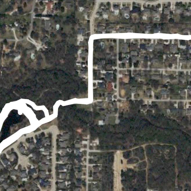 morning run w/ Bella