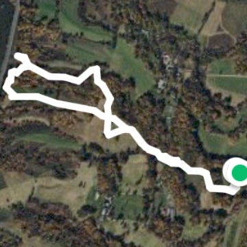 Poet’s Walk Red Hook NY.  Scenic Hudson Trail