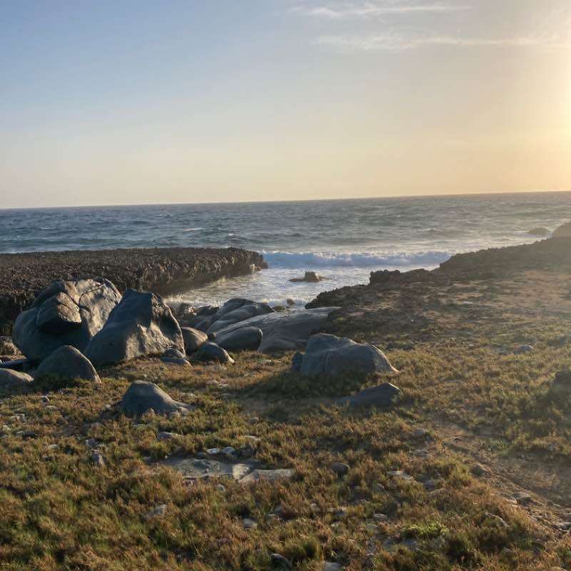 Alto Vista Aruba