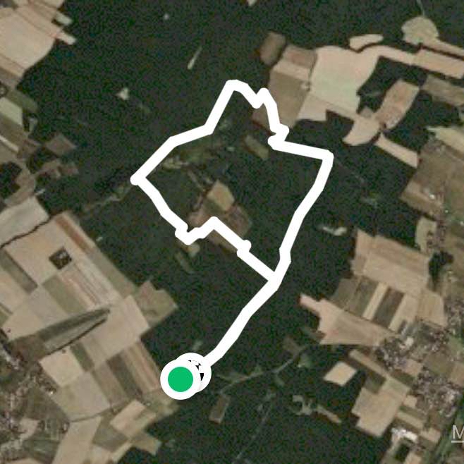 Balade dans les bois de Jussy