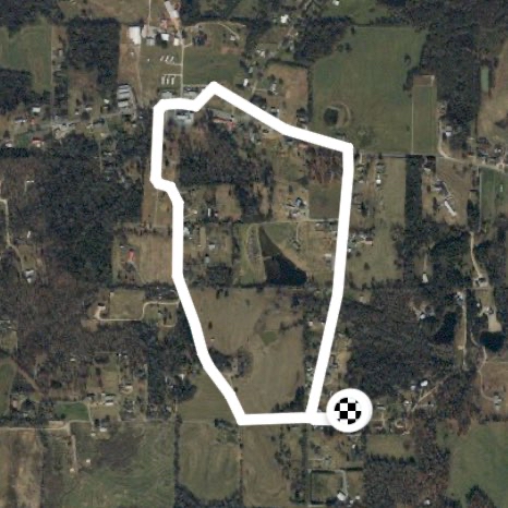 Saturday morning walk