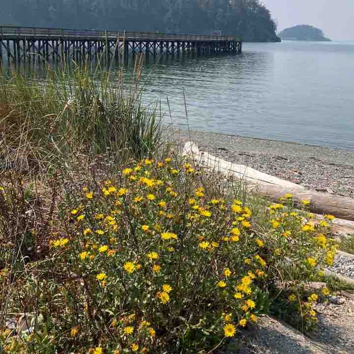 Bowman Bay, WA