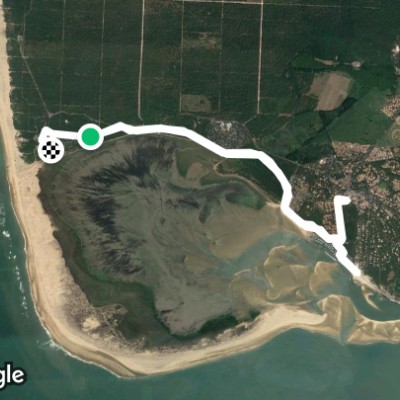 phare courbe - palmyre