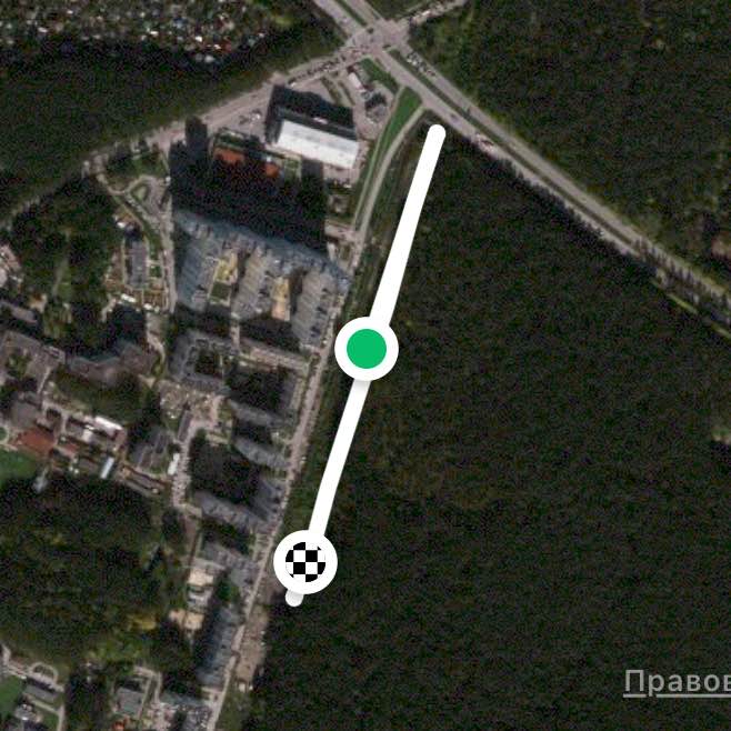 Пробежка по лесу