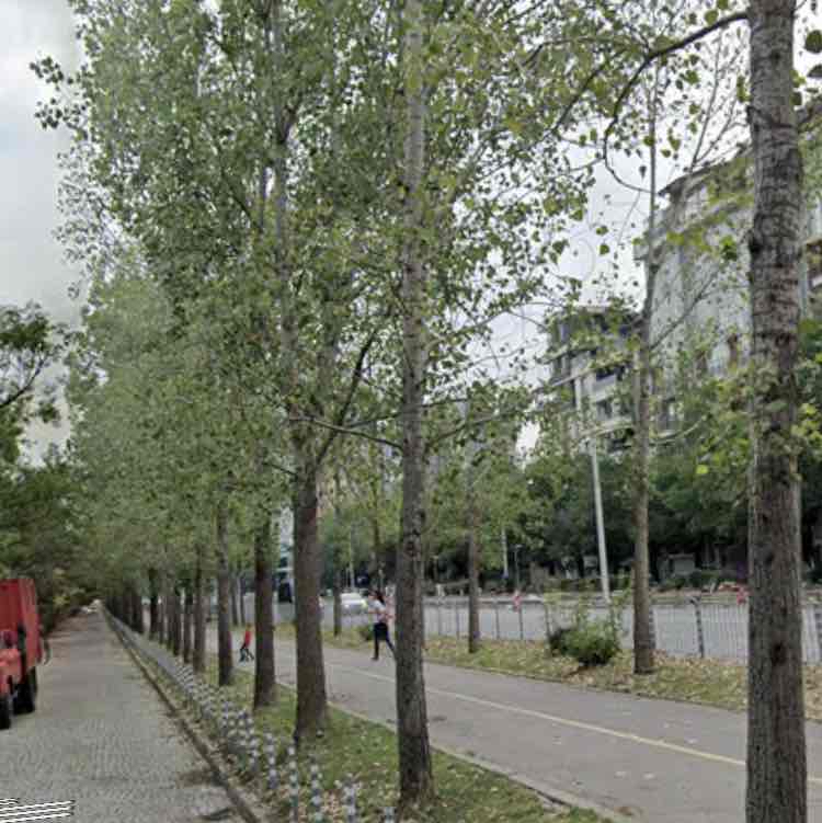 5km Slavia - Krasno selo