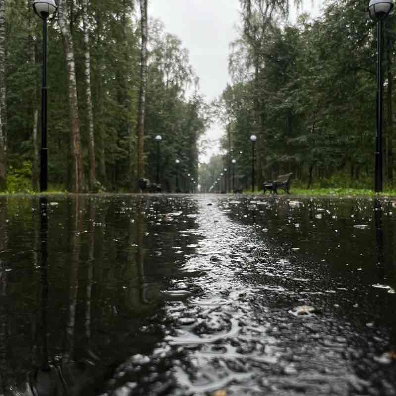 Парк «Лесная Поляна»