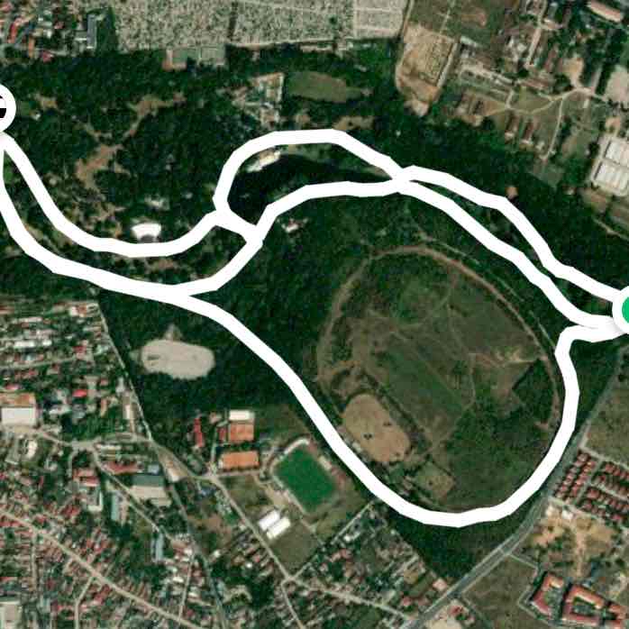 Plimbare prin parcul Romanescu