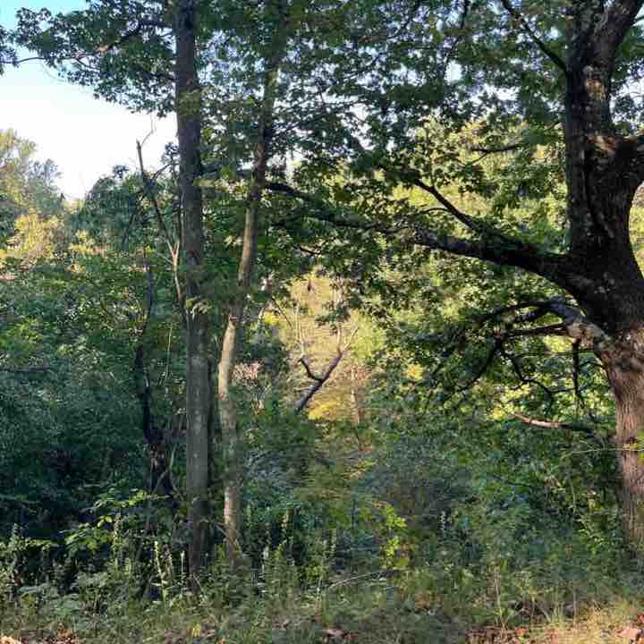 Old croton aqueduct