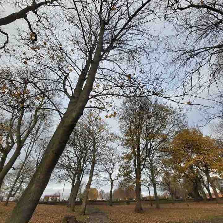 Walk around includes hills and stairs