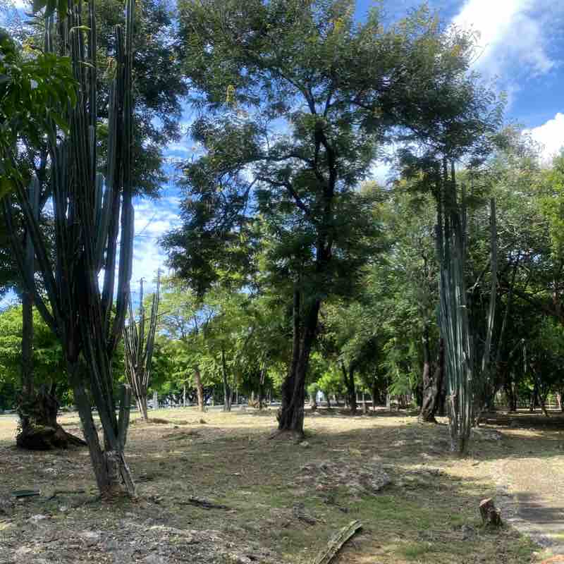 Parque mirador sur santo Domingo