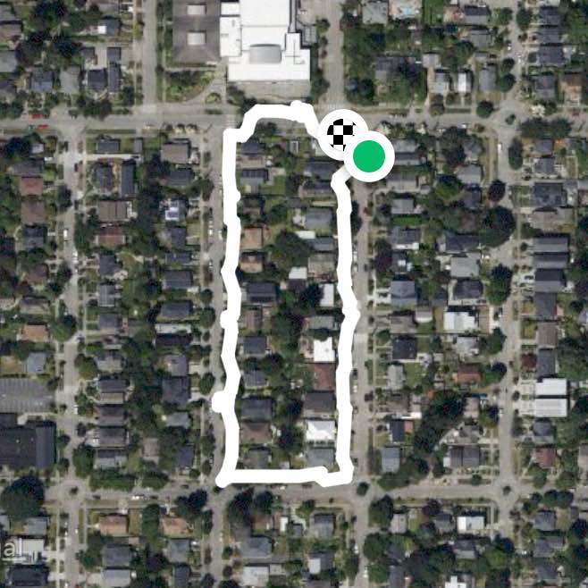 Morning walk with Falcon