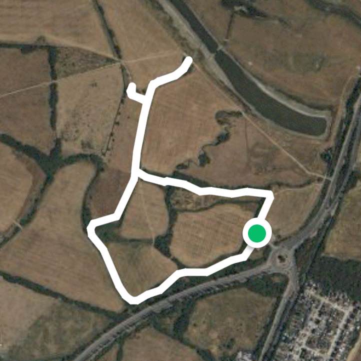 Short West Canvey Marsh