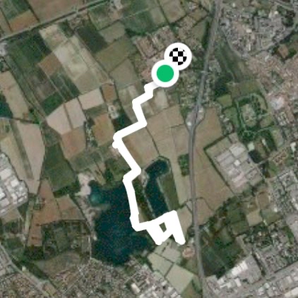 Muggiano - Parco Guascona - lago dei 🦢