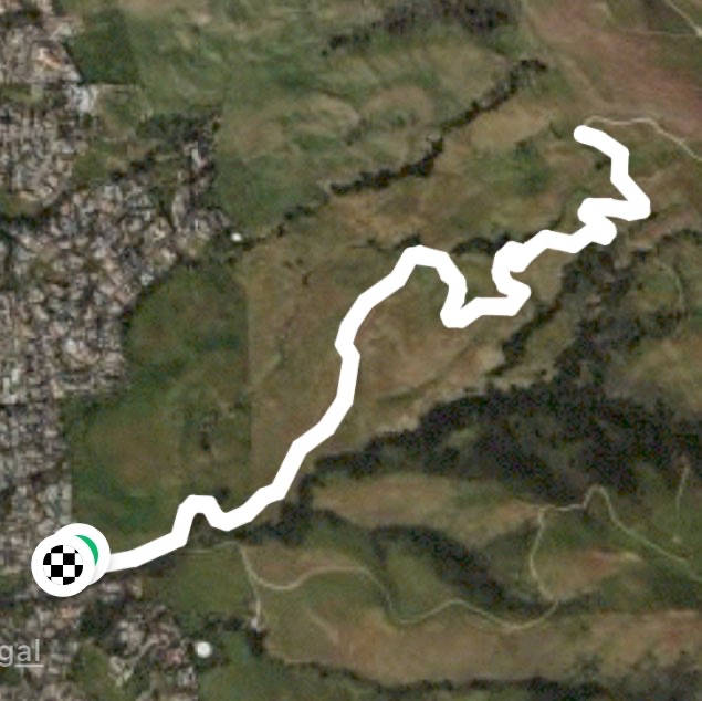 Mission peak trail. Part way.