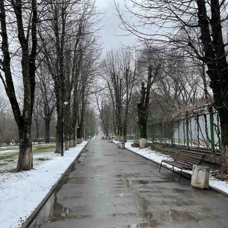 Военвед-Парк Октября