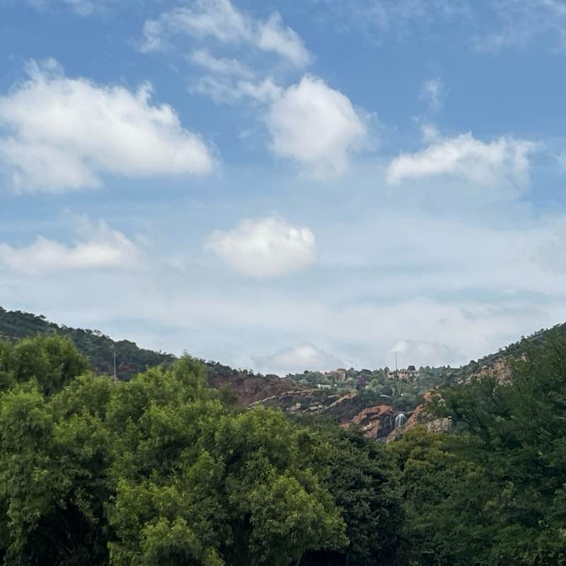 Walter Sisulu Botanical Gardens Route