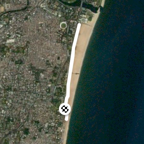 🧘‍♀️🐆🤸‍♀️🧎‍♀️