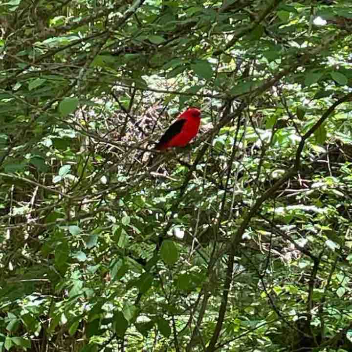 Breakheart Reservation