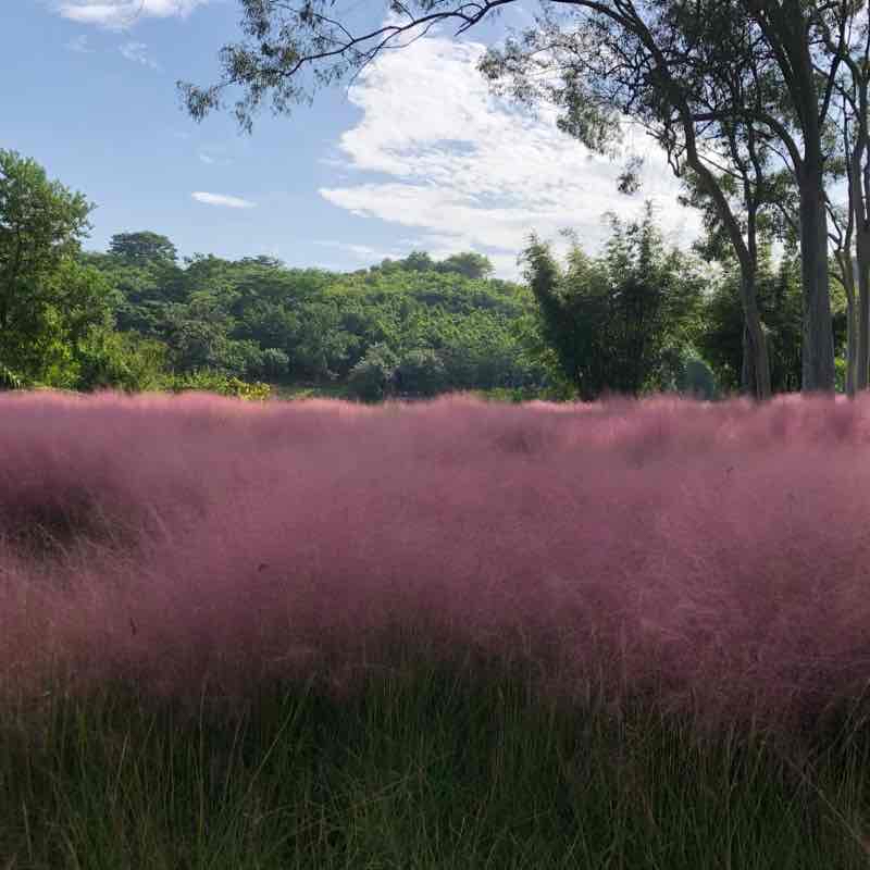 金钟湖—大尖山