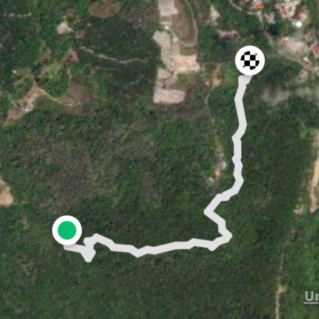 Rabbil hill to waterfall mount walker