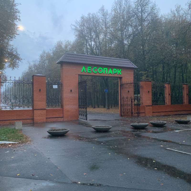 Прогулка в Рязанском Лесопарке